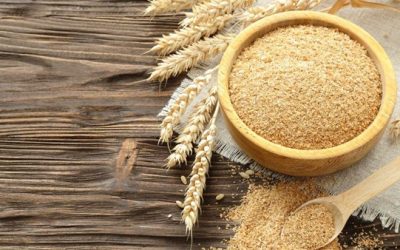 Kandungan Bioaktif Bekatul dan Potensinya sebagai Pangan Fungsional