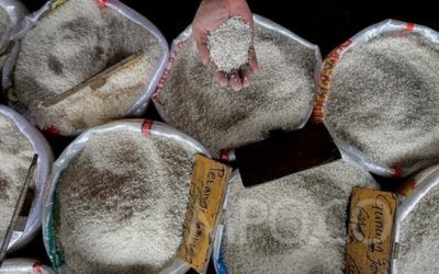 Cara Penyimpanan Beras yang Tepat untuk Menjaga Kualitas