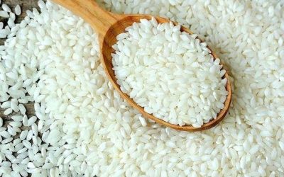 Pengaruh Chalkiness terhadap Mutu dan Penampilan Beras
