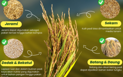 Pemanfaatan Produk Samping Beras untuk Ekonomi Sirkular