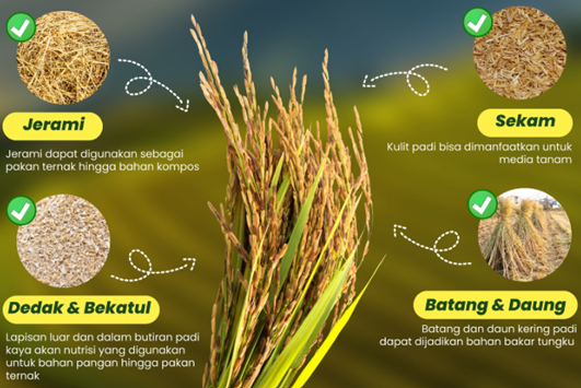 Pemanfaatan Produk Samping Beras untuk Ekonomi Sirkular