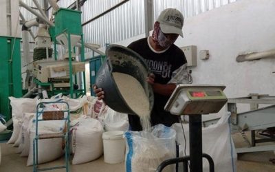 Pengaruh Penggilingan terhadap Kandungan Nutrisi Beras