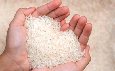 Protein Beras sebagai Bahan Pangan Alternatif