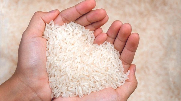 Protein Beras sebagai Bahan Pangan Alternatif
