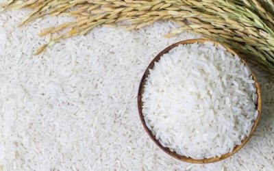 Kandungan Gizi Beras dan Upaya Meningkatkan Kualitas Nutrisi