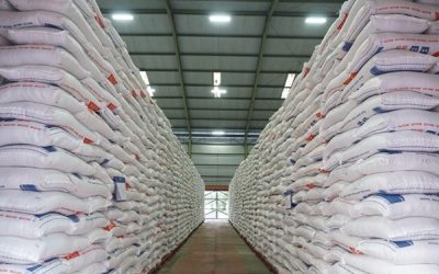 Pengaruh Penyimpanan terhadap Mutu dan Sifat Memasak Beras