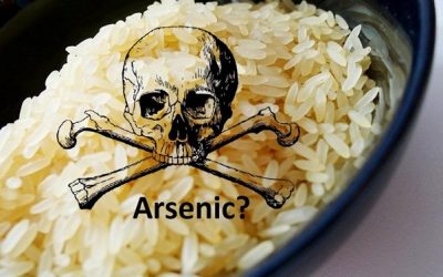 Keamanan Beras dan Risiko Kontaminasi Arsenik