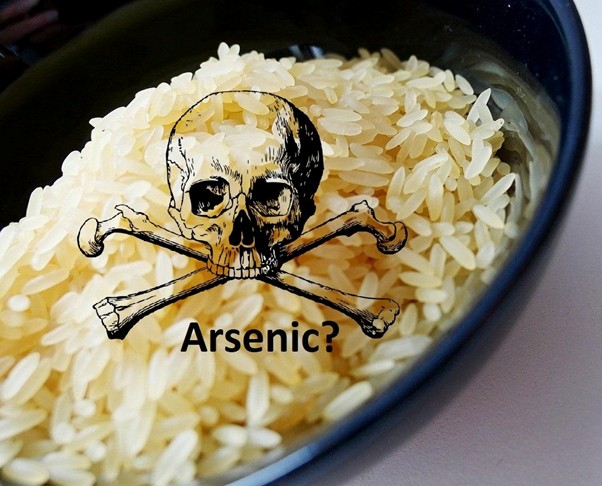 Keamanan Beras dan Risiko Kontaminasi Arsenik